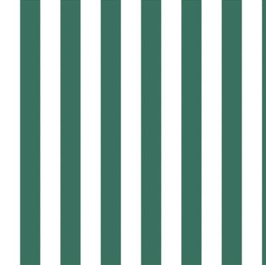 Popeline 120 doppio ritorto righe verde